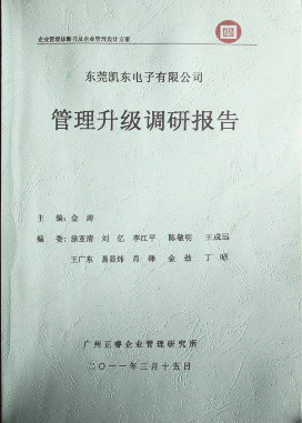 2011年3月15日，正睿咨詢專家向凱東決策層陳述調(diào)研報告