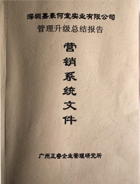 深圳市嘉豪何室實(shí)業(yè)有限公司管理升級(jí)總結(jié)報(bào)告