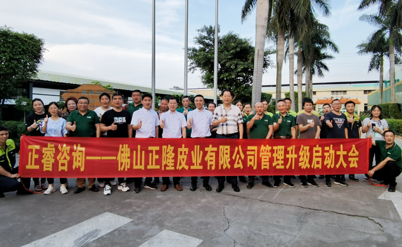 助力皮革行業(yè)再樹標(biāo)桿——正隆皮業(yè)全面管理升級項目啟動！