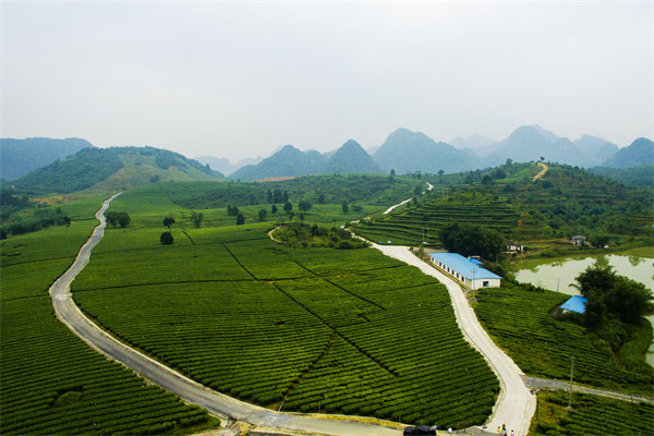 清遠(yuǎn)管理咨詢機(jī)構(gòu)的定制化服務(wù)方面包含哪些內(nèi)容？