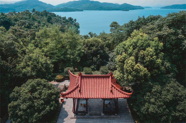 常州戰(zhàn)略咨詢公司如何精準把握市場趨勢？